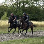Wednesday 30th July, 2025