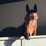 Tuesday 25th November, 2025