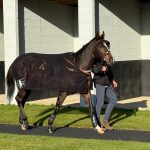 Tuesday 4th November, 2025