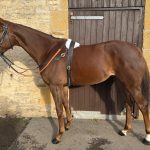 Monday 1st December, 2025