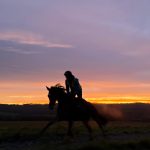 Wednesday 17th December, 2025