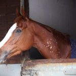 Monday 9th February, 2026