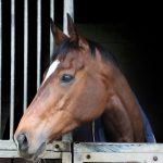 Monday 10th March, 2026