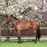 Friday 10th April, 2026